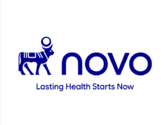 novo-rebranding